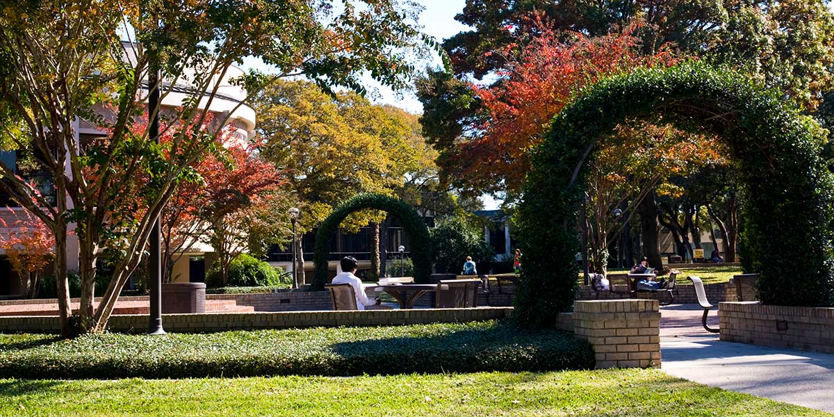 Fall Plaza